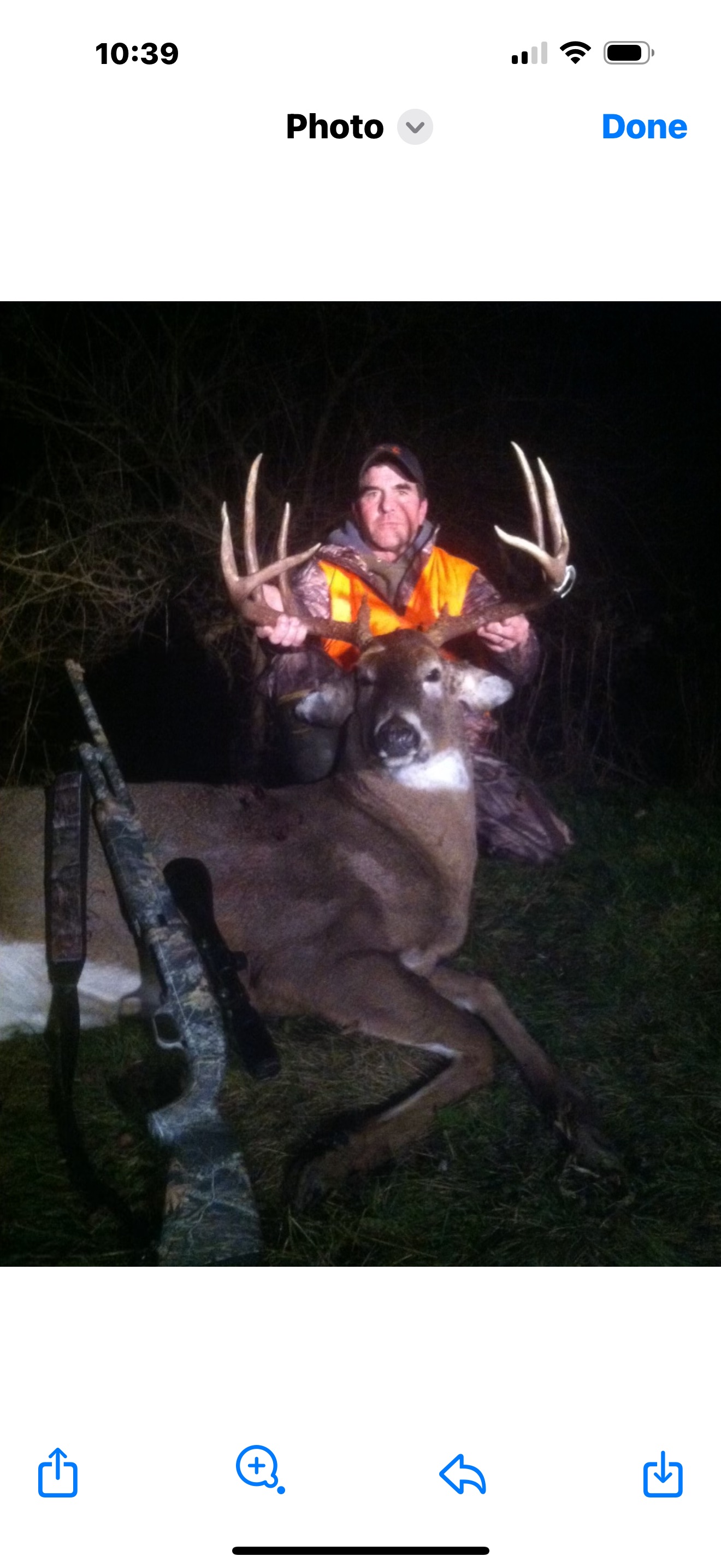 deer